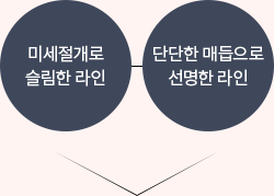 슬림절개법
