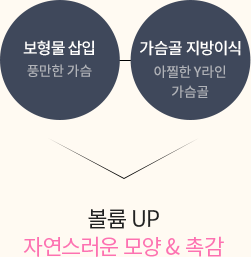 Y라인 가슴성형
