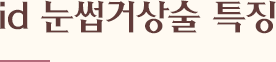 id 눈썹거상술 특징