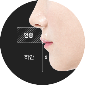라비얼 멘탈 커브라인 디자인