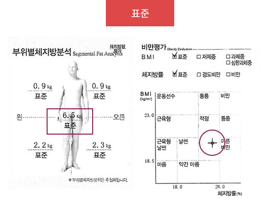 표준