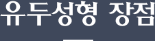 유두성형 장점